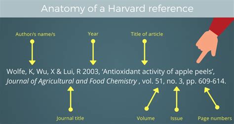 How Do You Harvard Reference a Website?